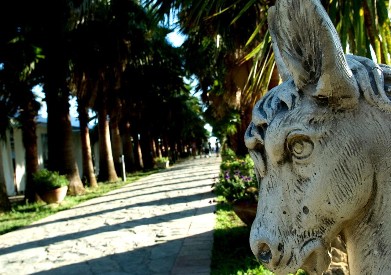Cilento Resort Villaggio Velia Marina Di Casal Velino Екстер'єр фото